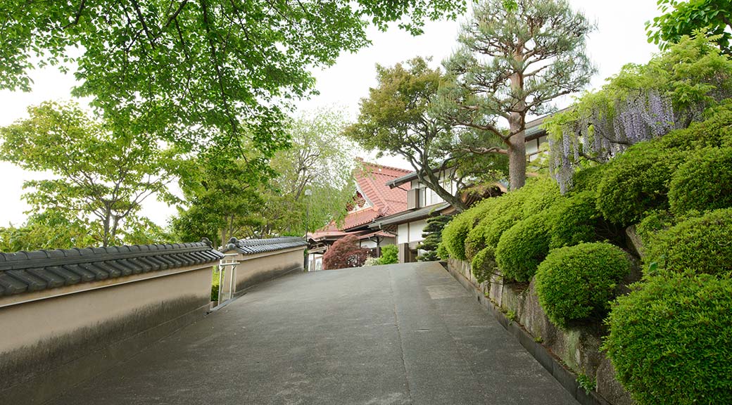 八王子市大泉寺境内の参道と美しく手入れされた庭園樹木に囲まれた静寂な寺院風景